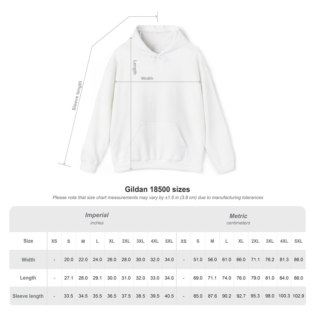 "FALSE EQUATION" Hoodie – Thinker Edition • Free Speech Series